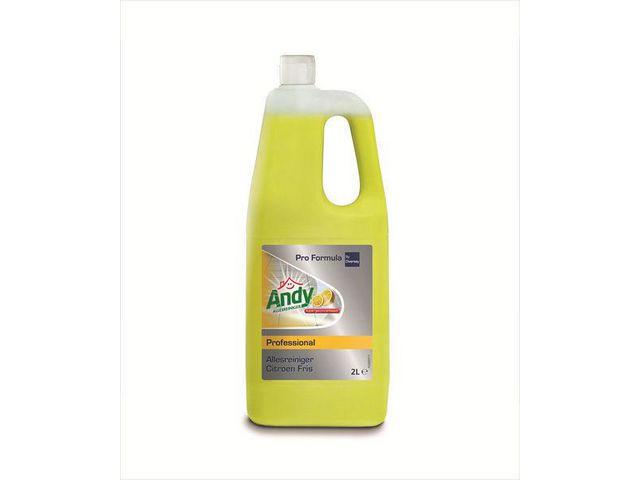 Allesreiniger Andy Prof citroen 2L