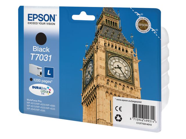 Inkjet Epson T7031 1.2K zwart