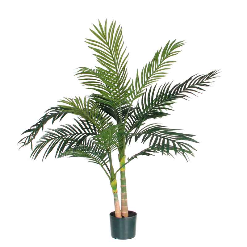 Palm Areca Golden Cane, 120 cm