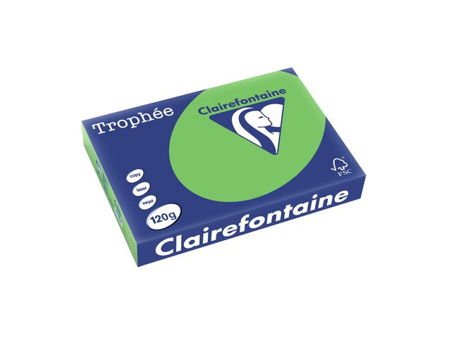 Papier Trophée A4 120g grasgroen/pk250v