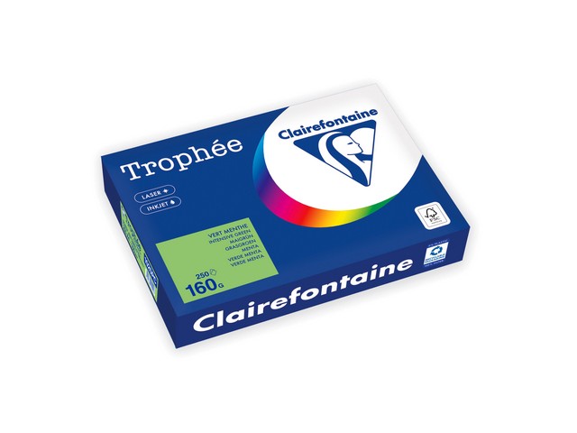 Papier Trophée A4 160g grasgroen/pk250v